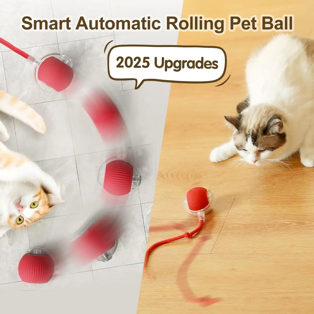 CatchMeow™ Rolling Toy